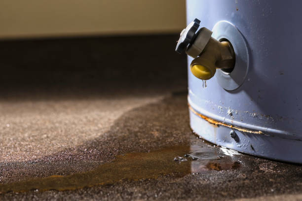 Best Local water damage restoration  in Mount Gilead, OH