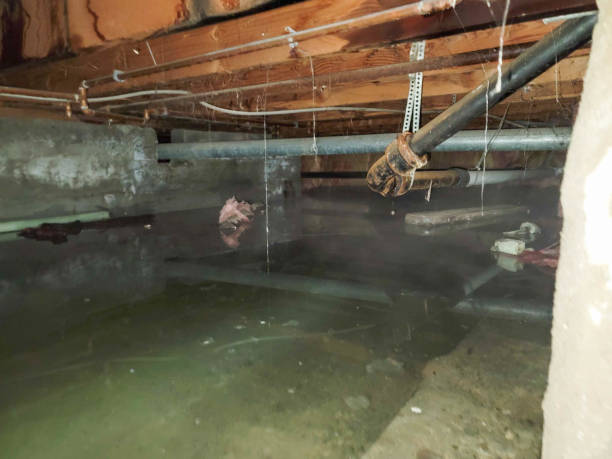 Best Sewage cleanup and water damage restoration  in Mount Gilead, OH