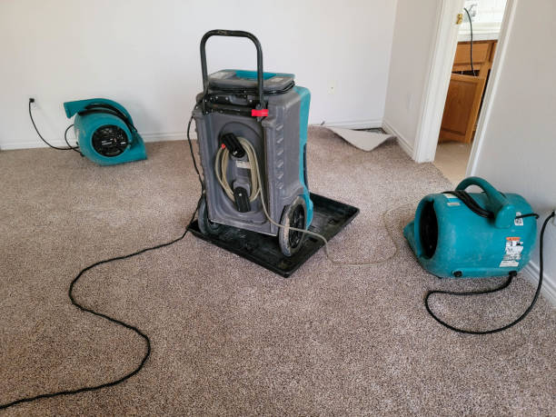Best Flood restoration services  in Mount Gilead, OH