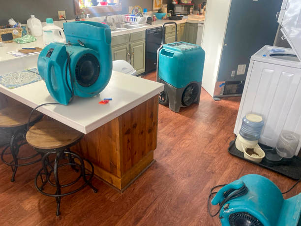 Best Ceiling water damage repair  in Mount Gilead, OH