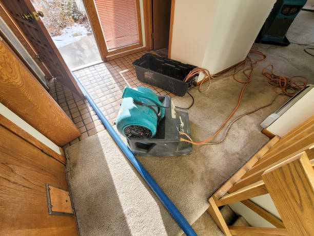 Best Fire Damage Restoration  in Mount Gilead, OH