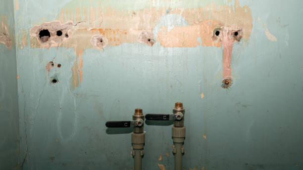 Best Water damage contractors near me  in Mount Gilead, OH