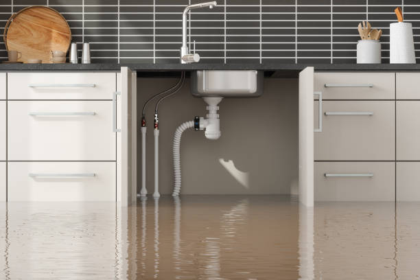 Best Emergency water damage restoration  in Mount Gilead, OH